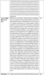 Figure BDA0002508391090001011