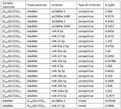 Figure imgf000019_0001