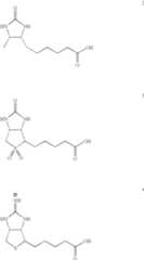 Figure US07141676-20061128-C00002