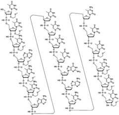 Figure BDA0003282506760000771