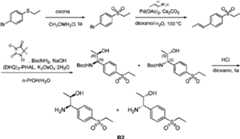 Figure imgf000033_0001