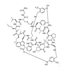 Figure imgf000011_0001