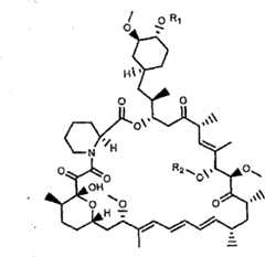 Figure BPA00001480457000252