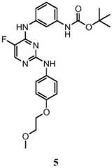 Figure BDA0001453135130001701