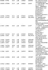 Figure BPA00001280678303381