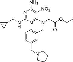 Figure BDA0000075082050001272