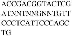 Figure imgb0307