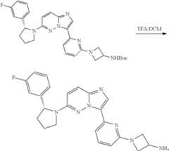 Figure US11969472-20240430-C00396