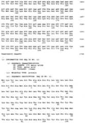 Figure imgf000058_0001