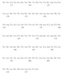 Figure 108123466-A0305-02-0521-453