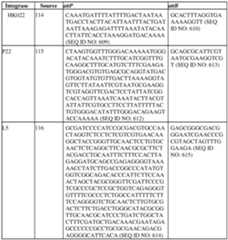 Figure imgf000775_0002