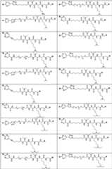 Figure PCTCN2022073822-appb-000341