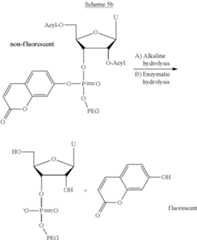 Figure US11786599-20231017-C00187