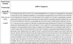 Figure imgf000175_0002