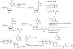 Figure imgf000574_0001