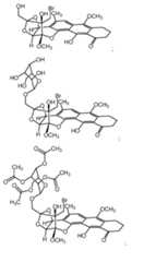 Figure imgf000261_0001