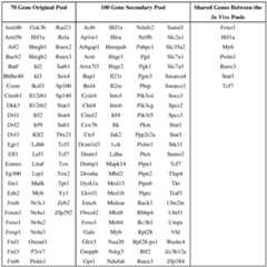 Figure imgf000046_0001