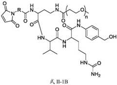 Figure BDA0003674984870000461
