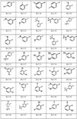 Figure imgf000011_0001