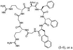 Figure imgf000111_0001