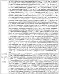 Figure imgf000185_0001