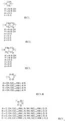 Figure BDA0002964098100000821