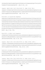 Figure imgf000249_0001