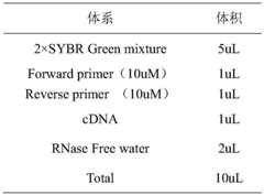 Figure BDA0003467640020000072