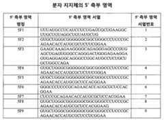 Figure 112022044143194-pat00001