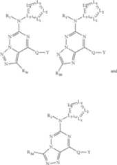 Figure US08288536-20121016-C00028