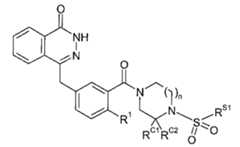 Figure 112005050535669-pct00029