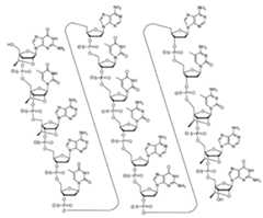 Figure 0007422816000009