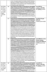 Figure imgf000078_0001