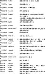 Figure BDA0000057170160001751