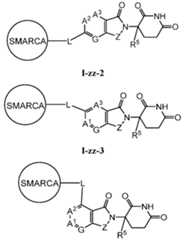 Figure imgf000387_0001