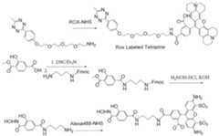 Figure imgf000578_0001