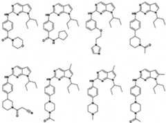 Figure imgf000206_0001