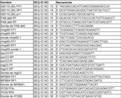 Figure imgf000013_0001
