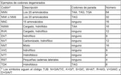 Figure imgf000008_0001