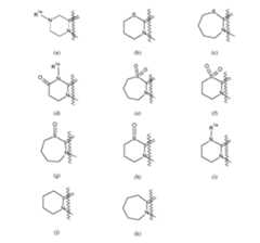 Figure imgf000011_0001