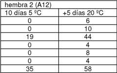 Figure imgf000022_0007