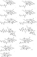 Figure BDA0002889616220000741