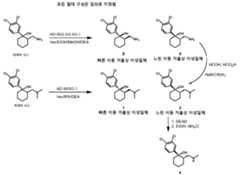 Figure 112009071129924-pct00025