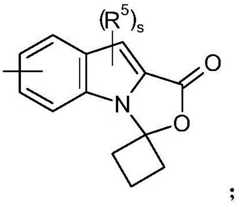 Figure FDA0003202626560000013