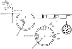 Figure R1020187025956