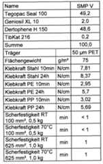 Figure imgf000019_0001