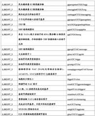 Figure BDA0001349734580004151