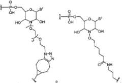 Figure imgf000006_0003