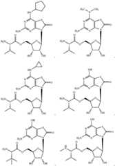 Figure BDA0002803871440001001