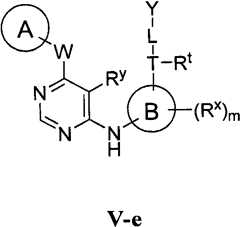 Figure BPA00001476434901013